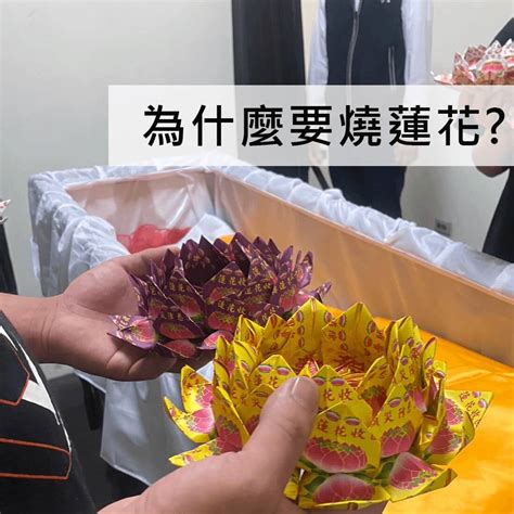 折蓮花禁忌|折蓮花意義：紙藝傳遞溫暖與祈福 